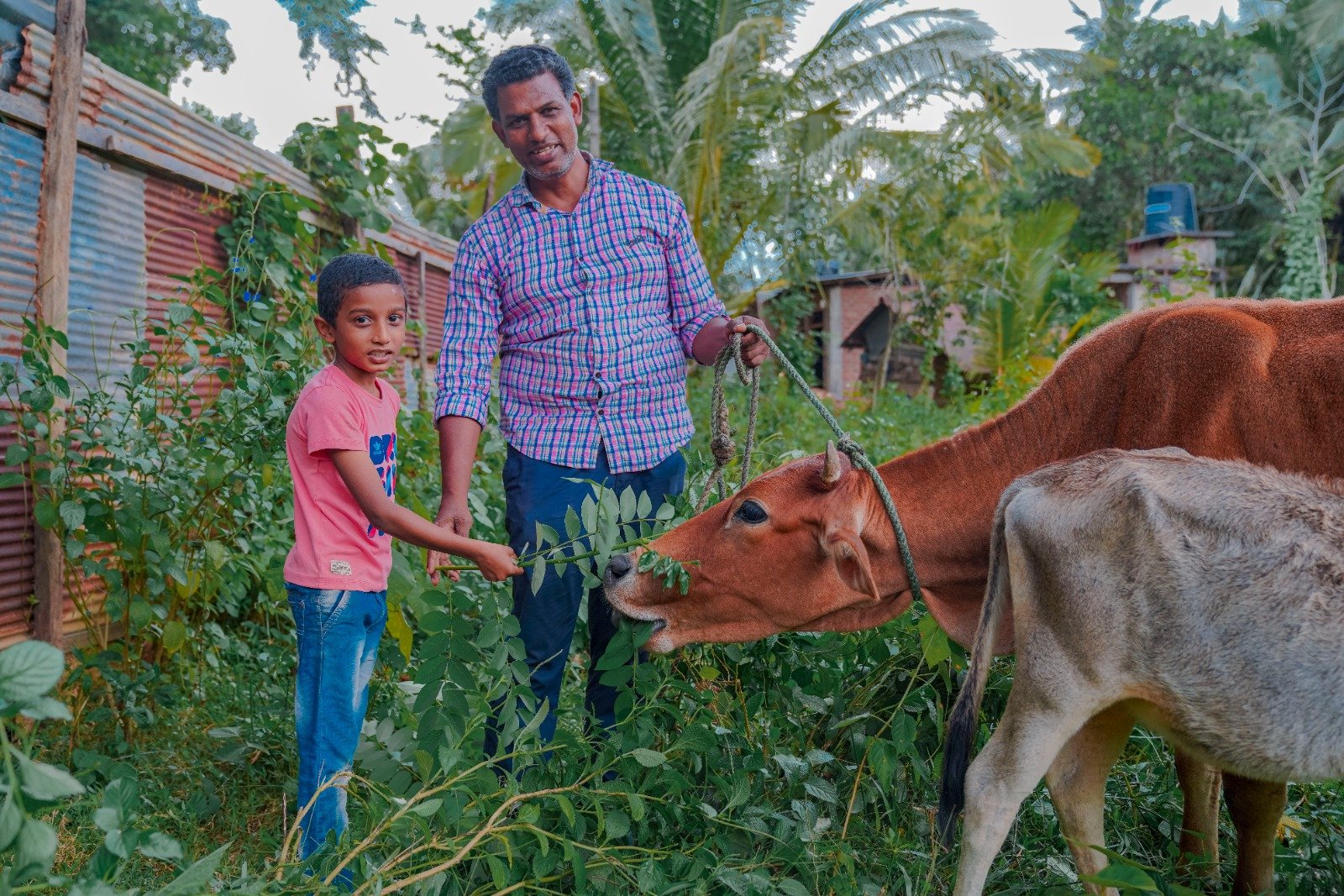 Cow Donation to Boost Milk Production and Economic Stability (13)