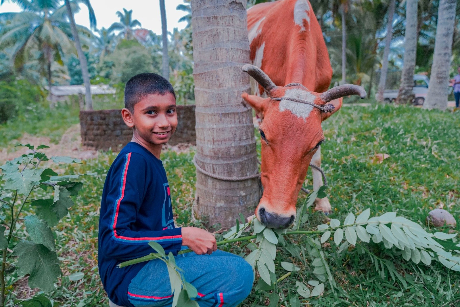 Cow Donation to Boost Milk Production and Economic Stability (15)