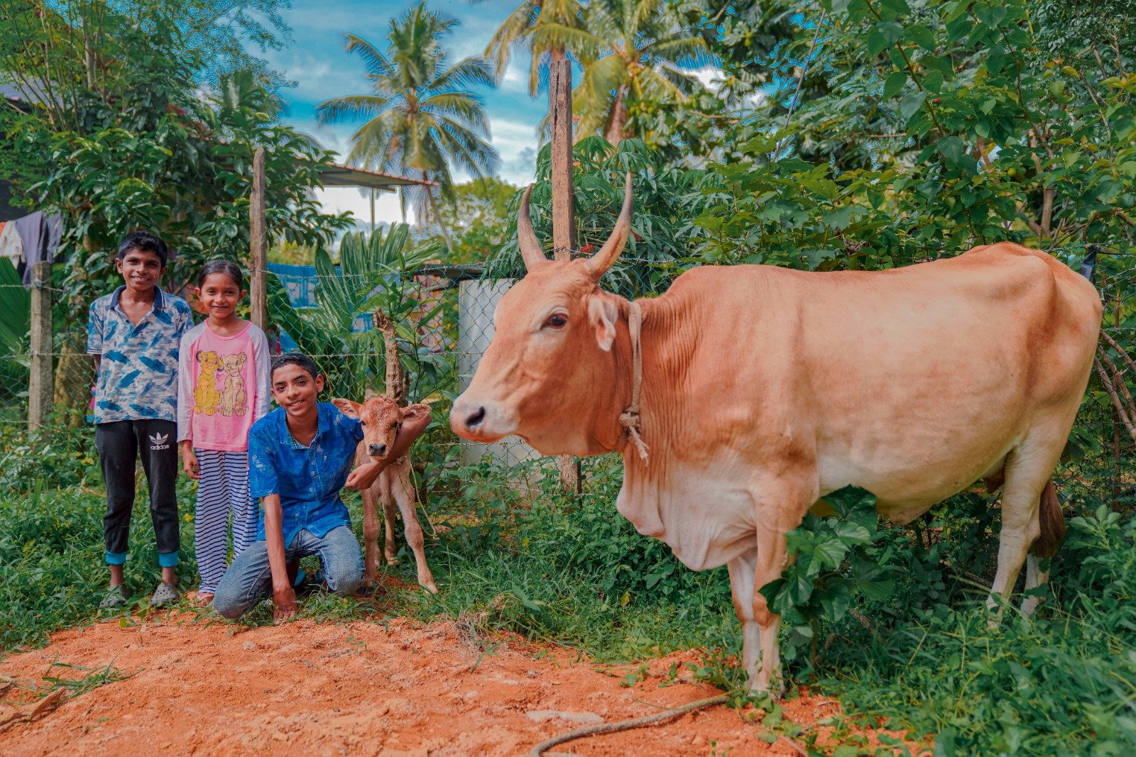 Cow Donation to Boost Milk Production and Economic Stability (17)