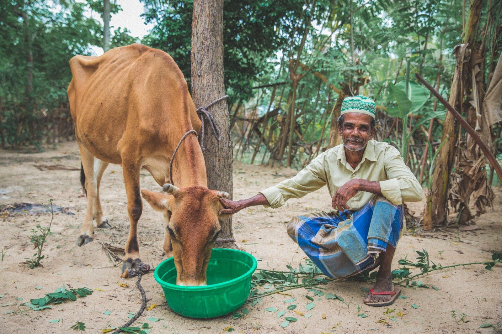 Cow Donation to Boost Milk Production and Economic Stability (20)