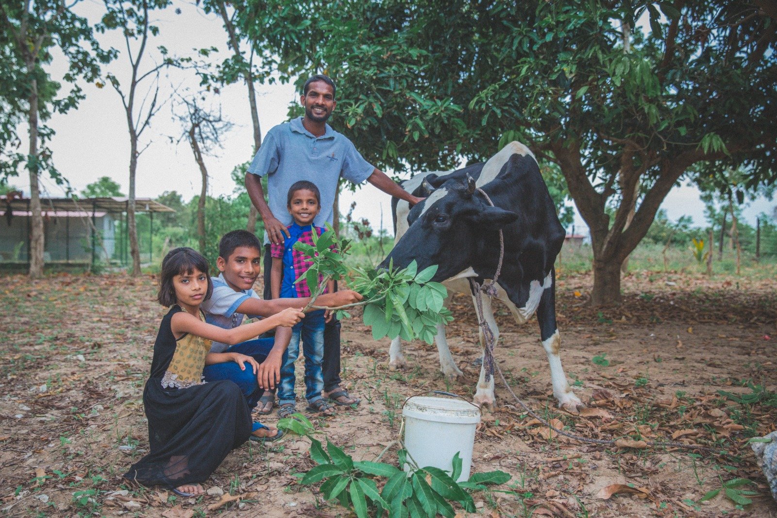 Cow Donation to Boost Milk Production and Economic Stability (21)