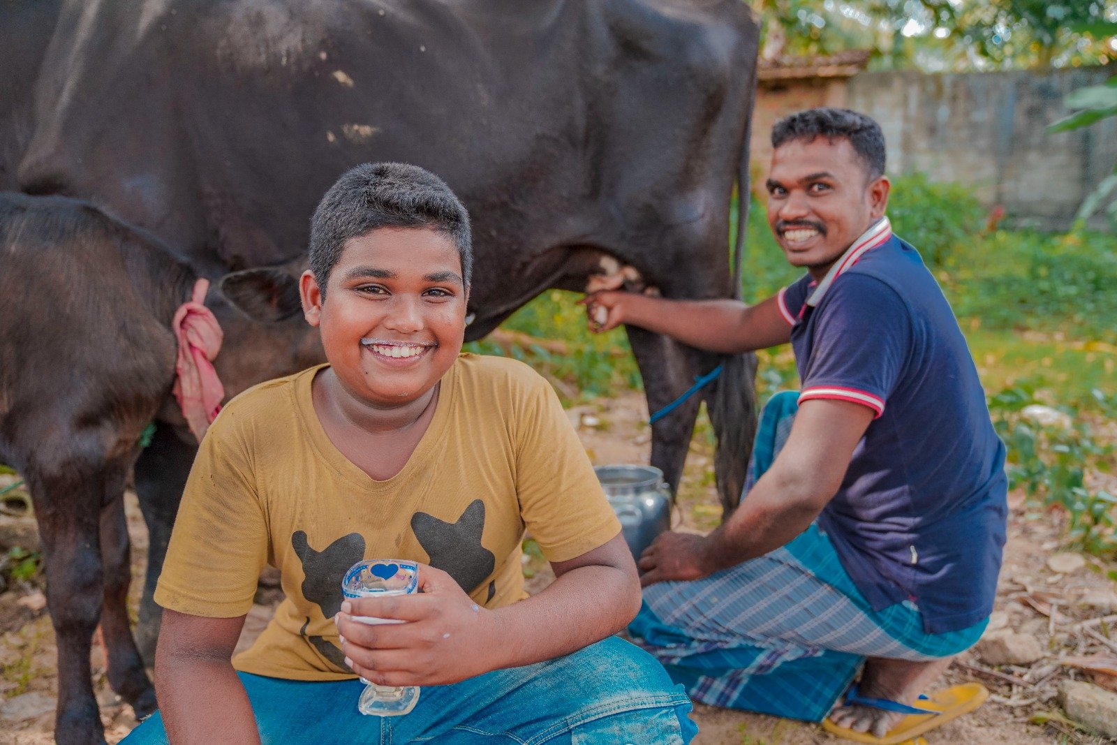 Cow Donation to Boost Milk Production and Economic Stability (8)