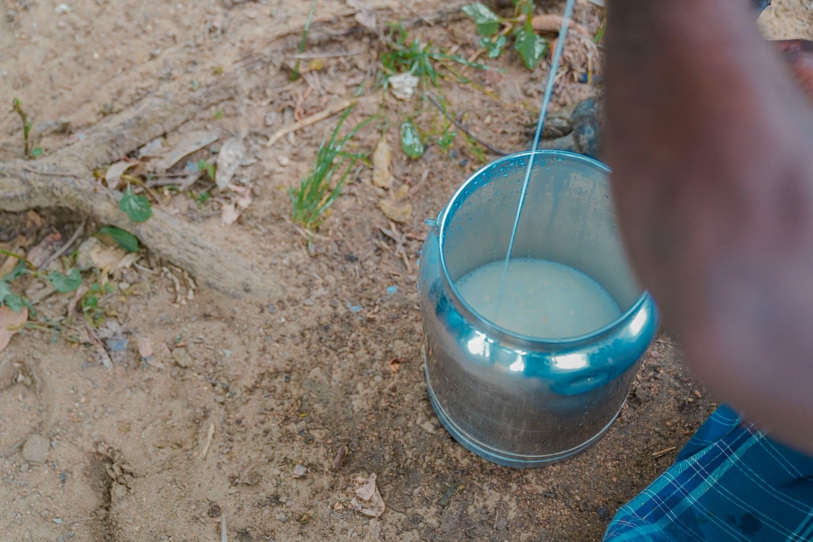 Cow Donation to Boost Milk Production and Economic Stability (9)