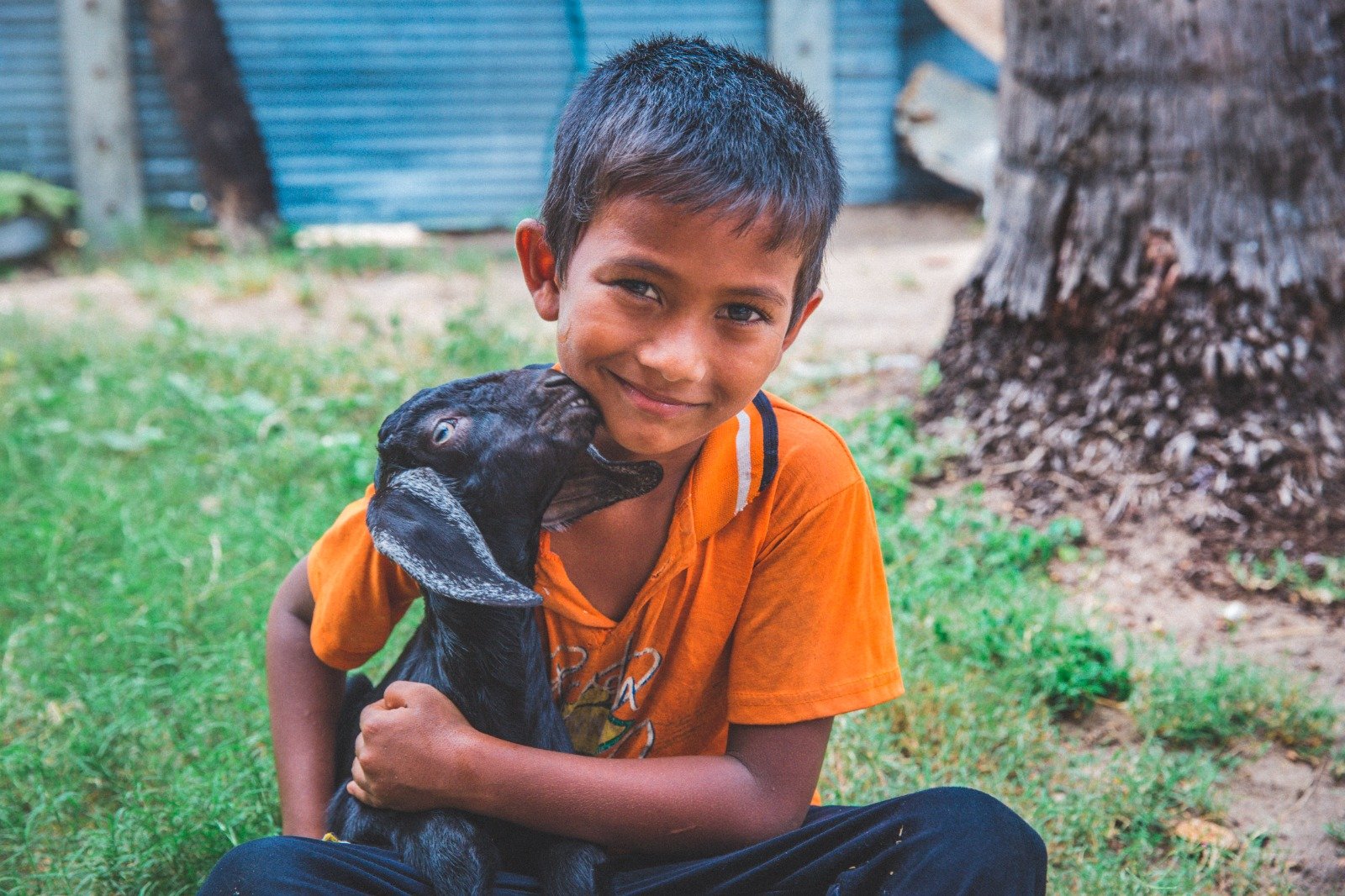 Empowering Rural Livelihoods Through Sustainable Livestock Initiatives (1)