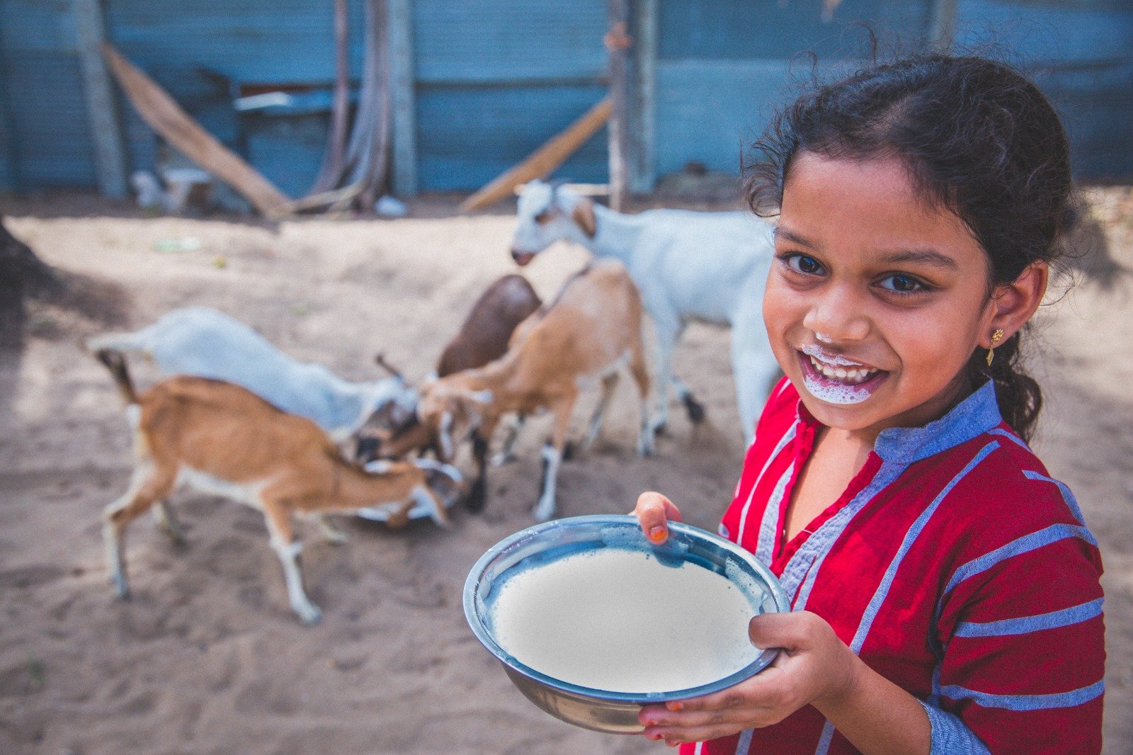 Empowering Rural Livelihoods Through Sustainable Livestock Initiatives (10)
