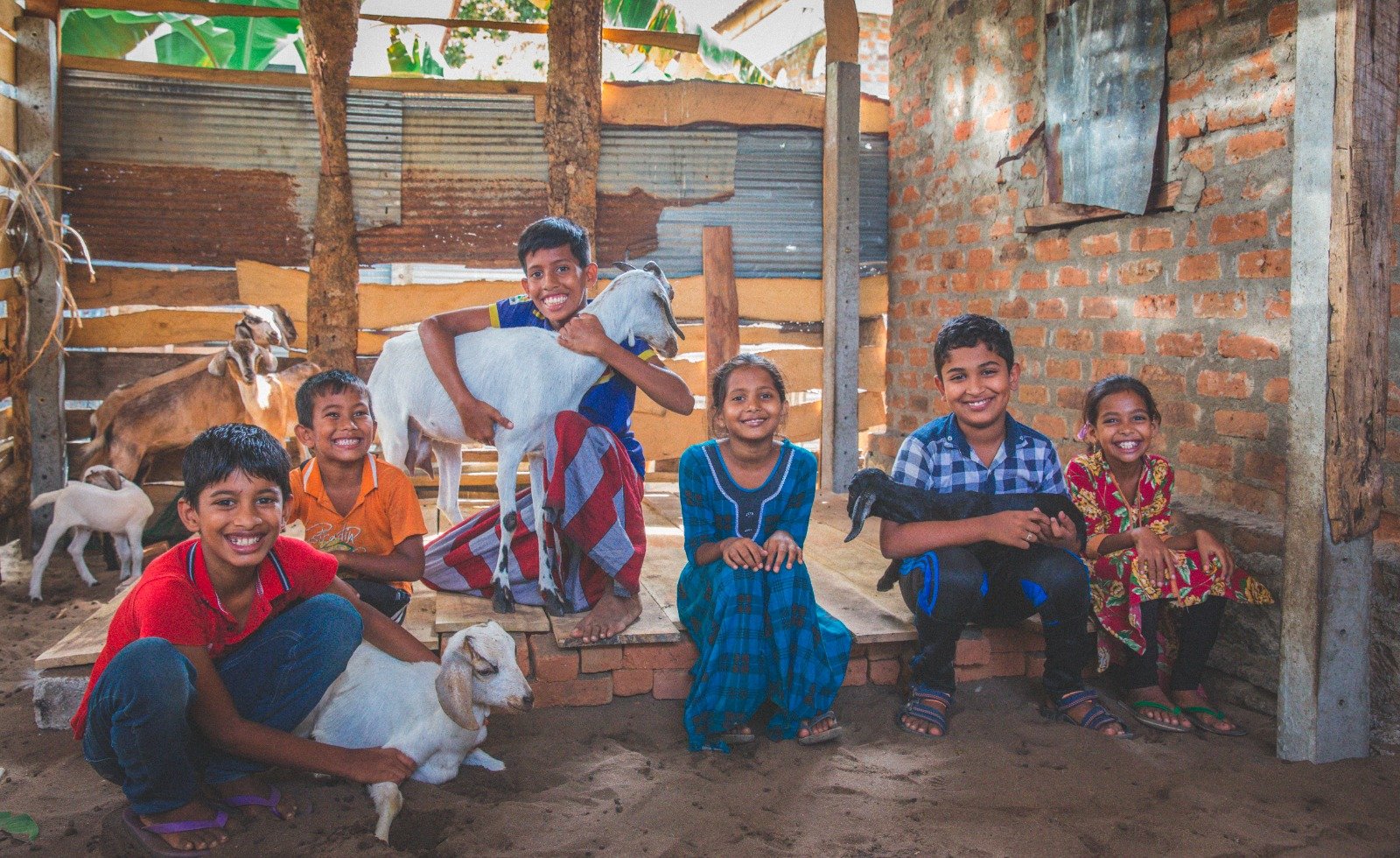 Empowering Rural Livelihoods Through Sustainable Livestock Initiatives (11)