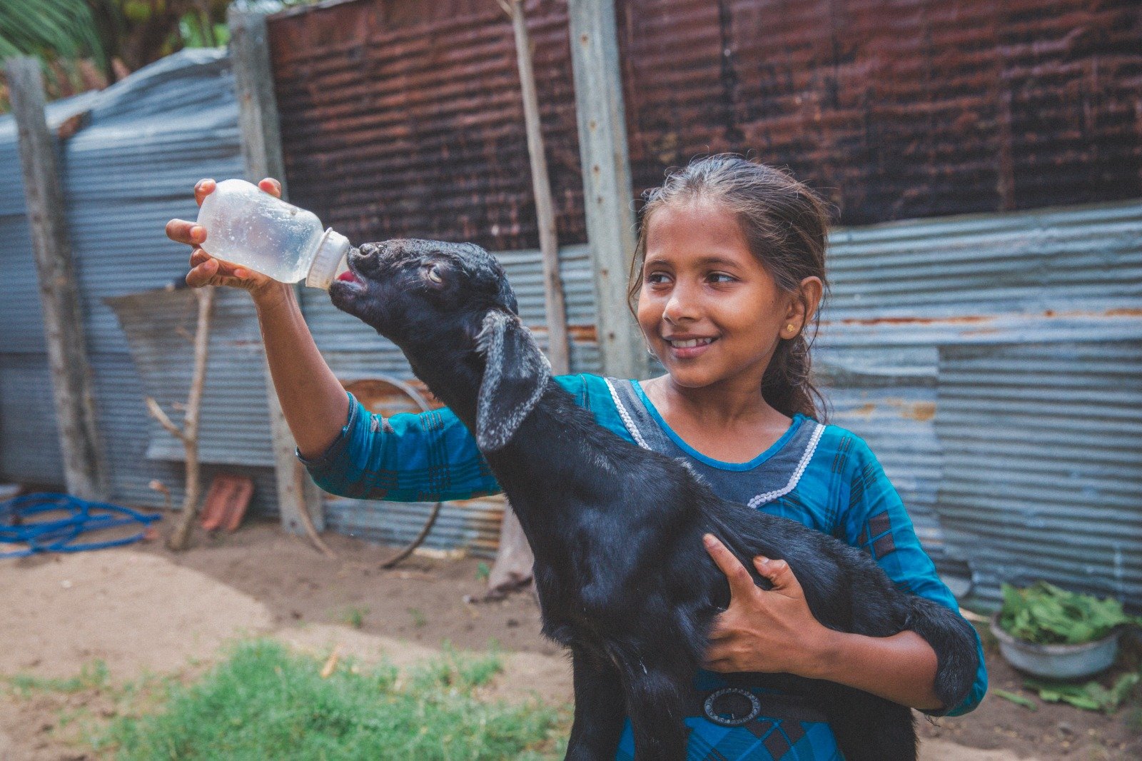 Empowering Rural Livelihoods Through Sustainable Livestock Initiatives (12)