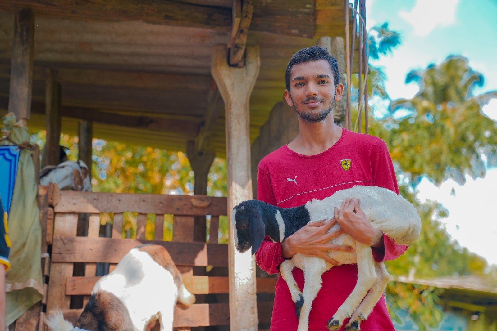 Empowering Rural Livelihoods Through Sustainable Livestock Initiatives (17)