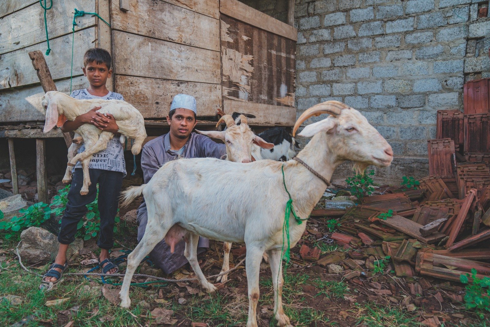 Empowering Rural Livelihoods Through Sustainable Livestock Initiatives (18)