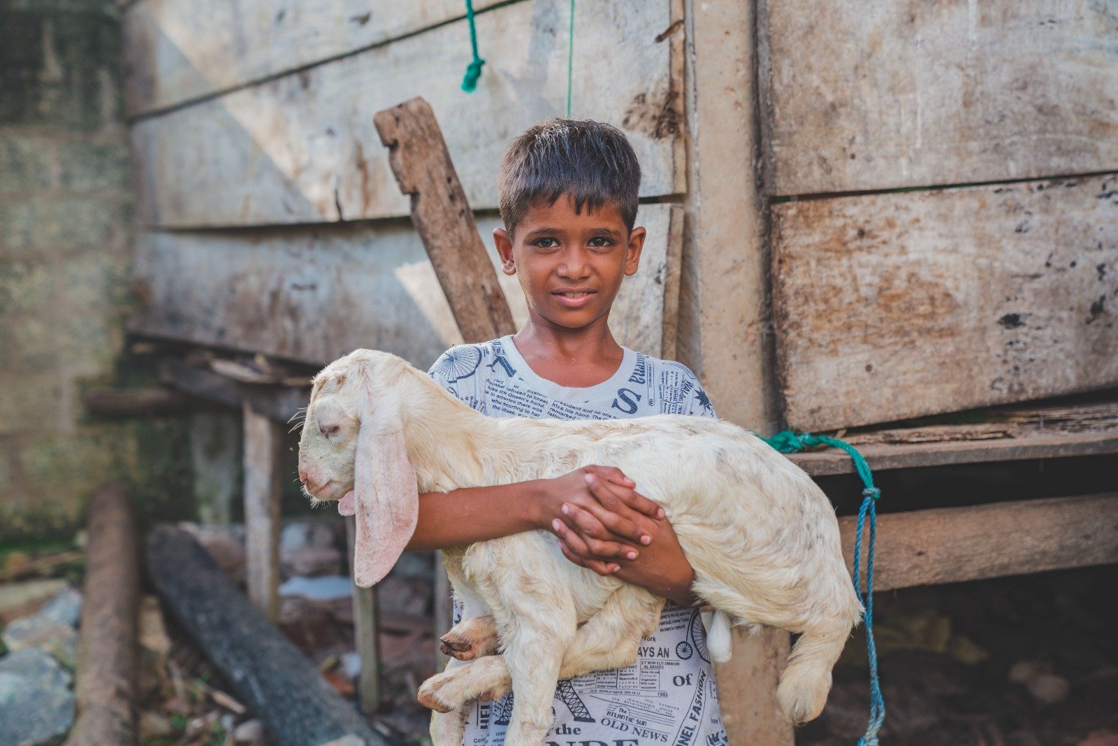 Empowering Rural Livelihoods Through Sustainable Livestock Initiatives (19)