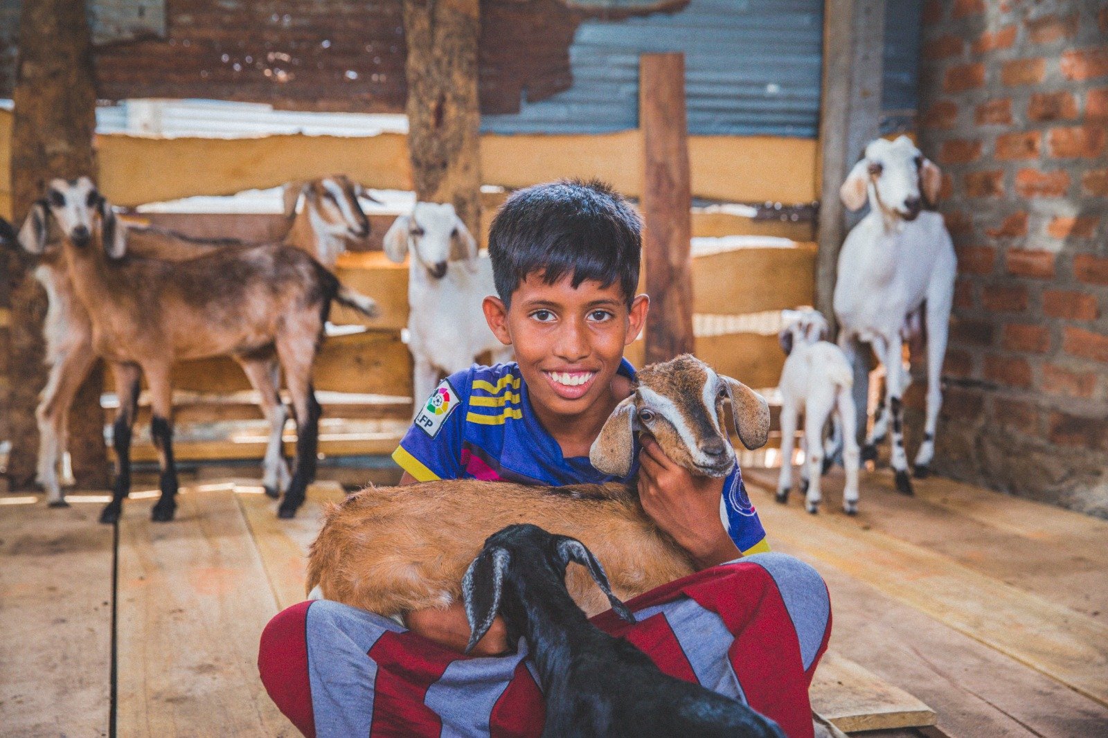 Empowering Rural Livelihoods Through Sustainable Livestock Initiatives (2)