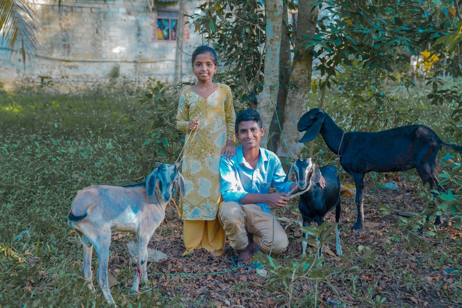 Empowering Rural Livelihoods Through Sustainable Livestock Initiatives (21)