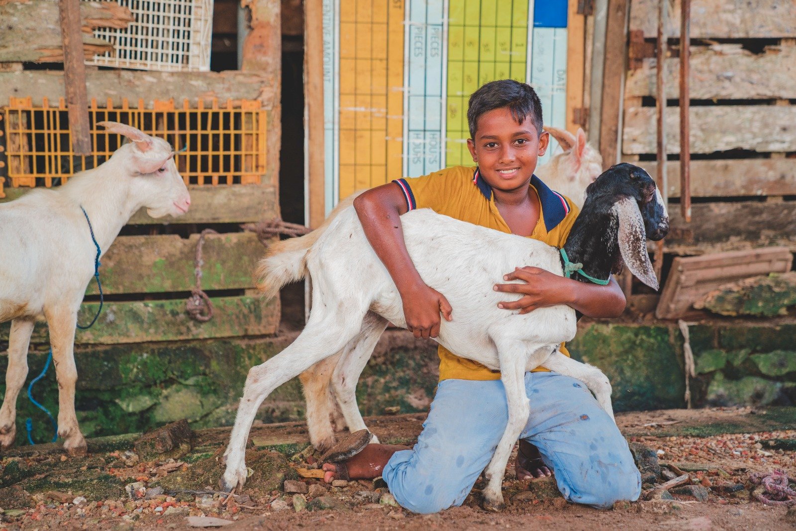 Empowering Rural Livelihoods Through Sustainable Livestock Initiatives (22)
