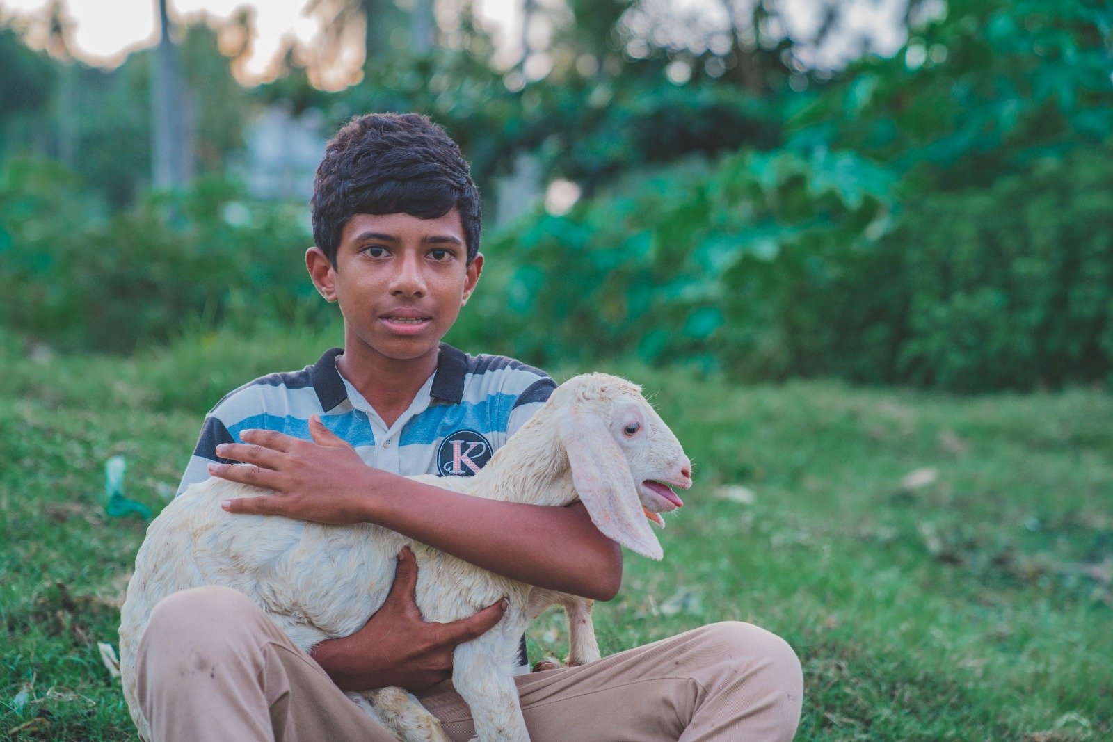 Empowering Rural Livelihoods Through Sustainable Livestock Initiatives (23)
