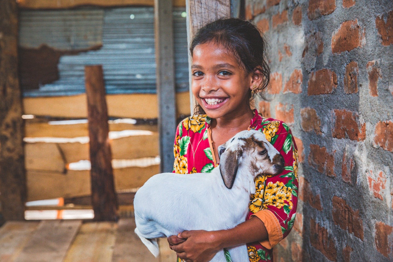 Empowering Rural Livelihoods Through Sustainable Livestock Initiatives (3)