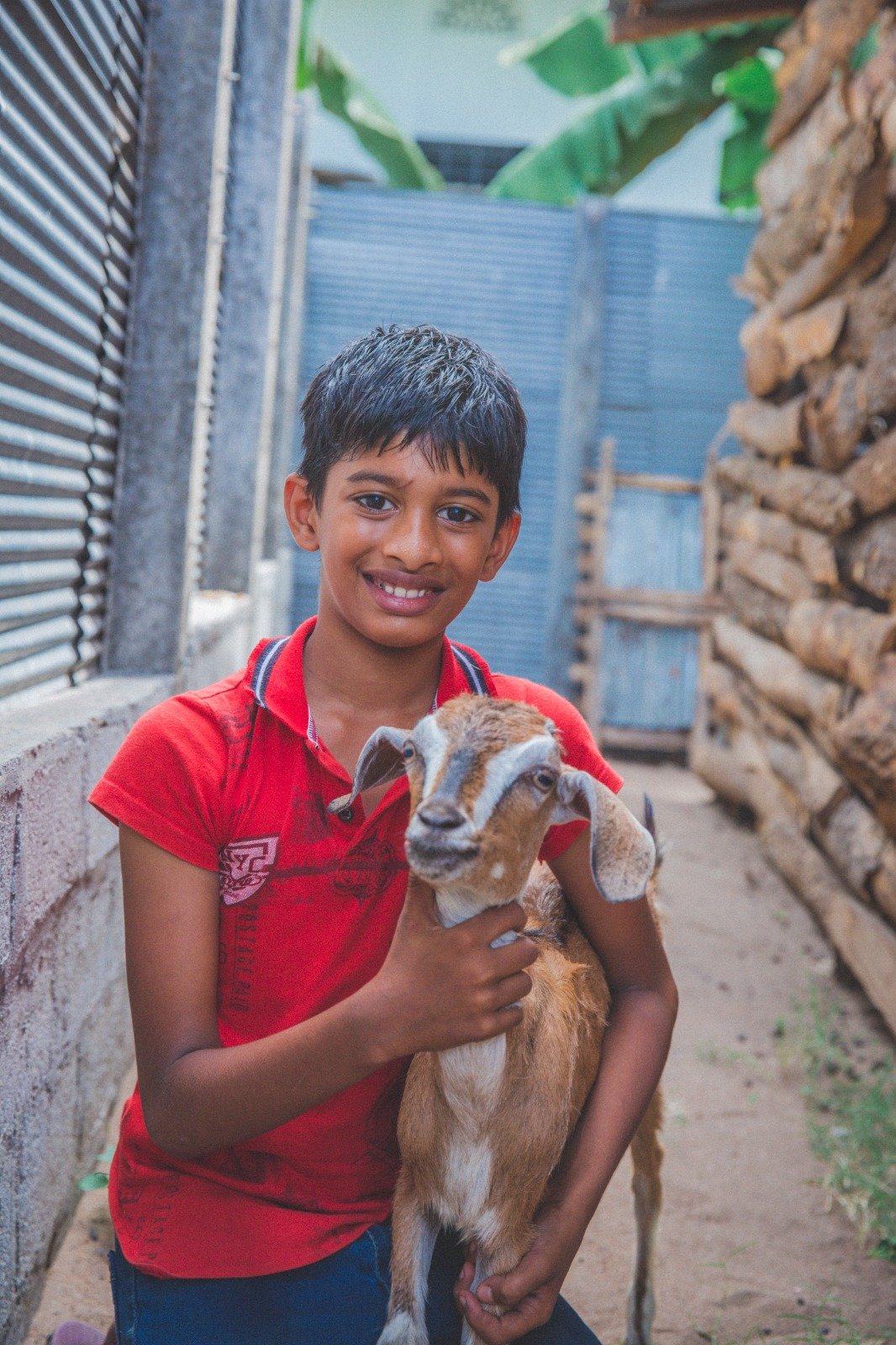 Empowering Rural Livelihoods Through Sustainable Livestock Initiatives (7)