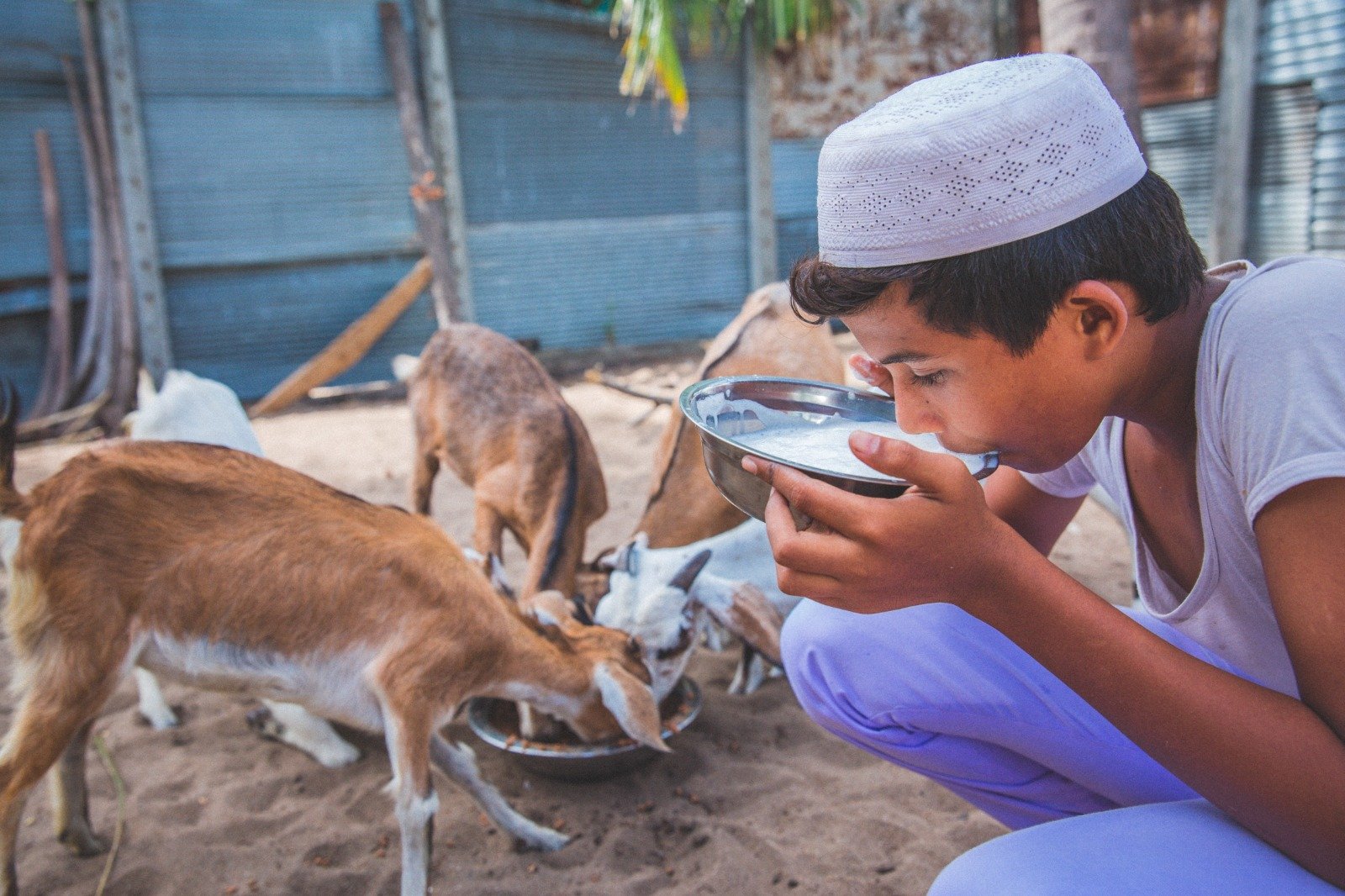 Empowering Rural Livelihoods Through Sustainable Livestock Initiatives (8)