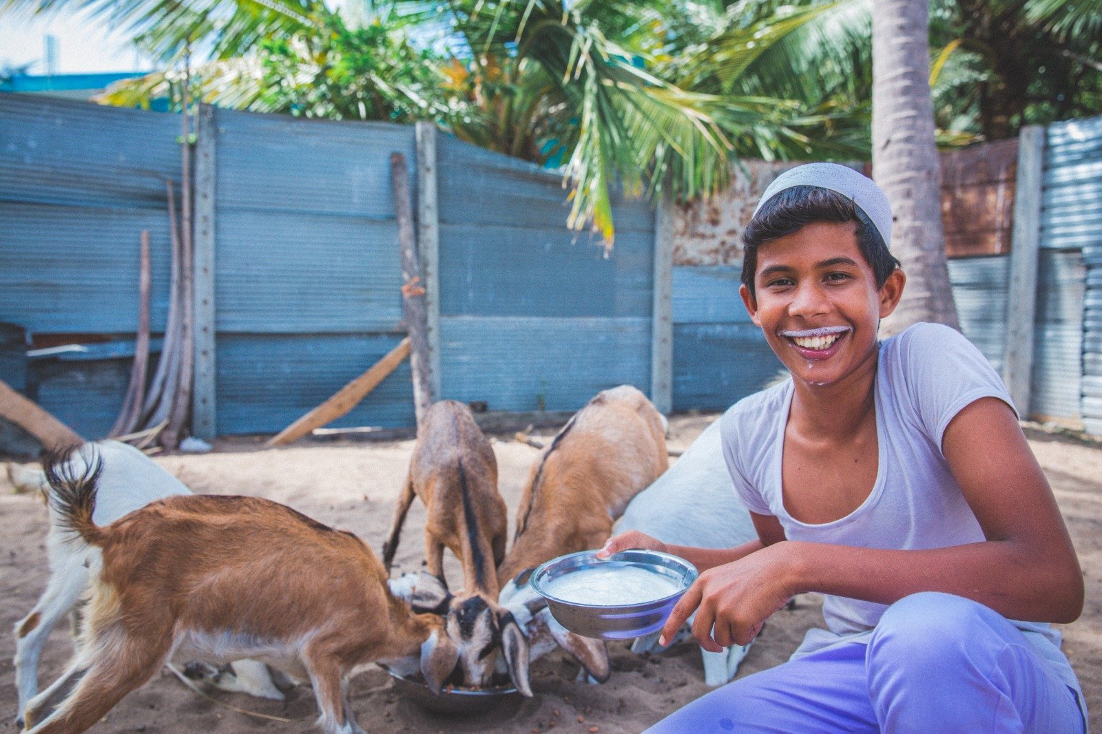 Empowering Rural Livelihoods Through Sustainable Livestock Initiatives (9)